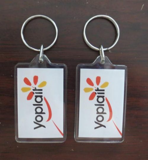 Plastic keychain